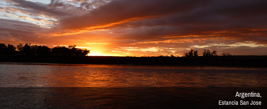 Fly Fishing in Argentina